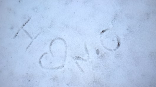 WP_20180206_16_14_31_Pro